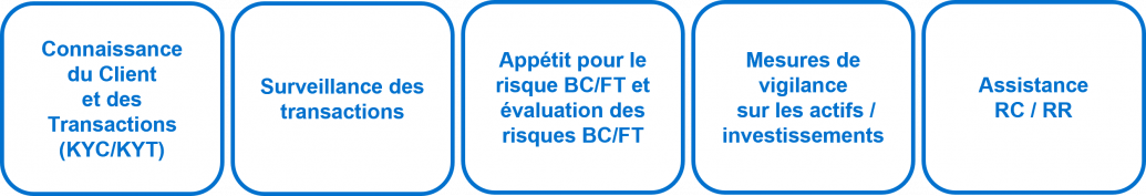 AML CFT key topics French version